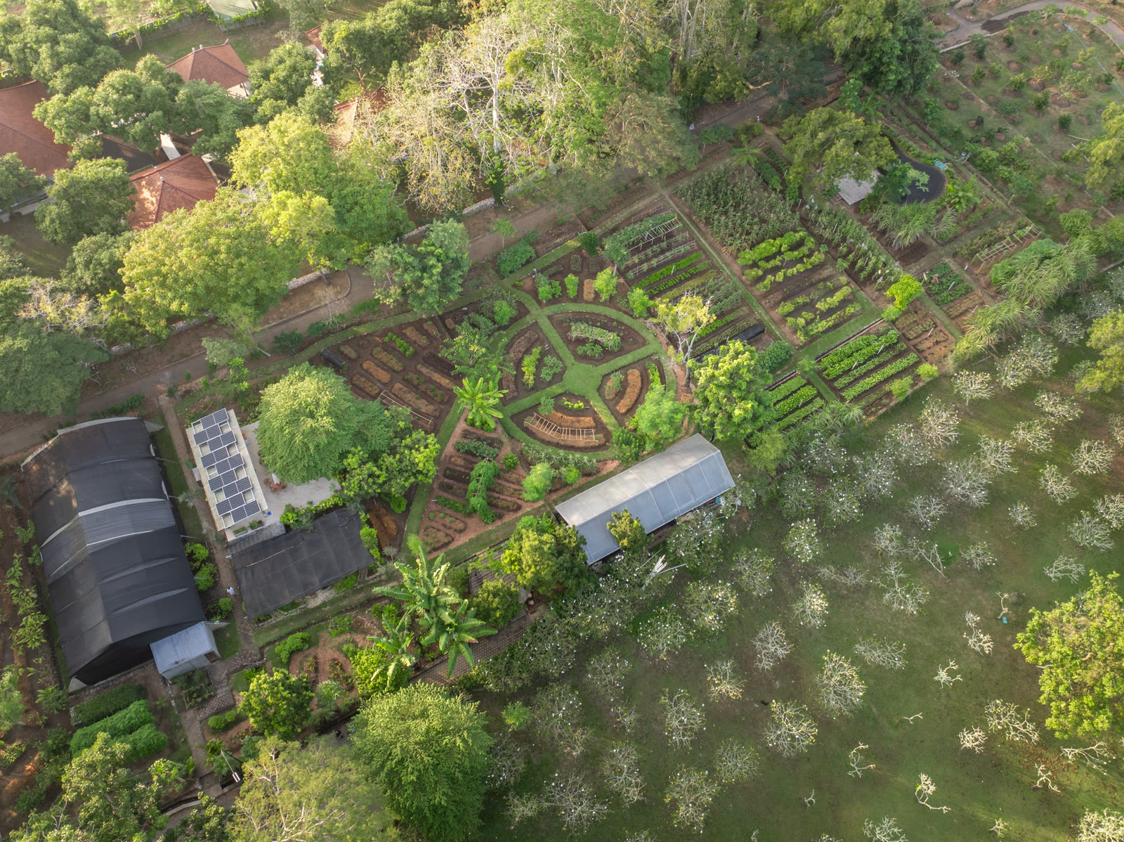 AYANA Farm