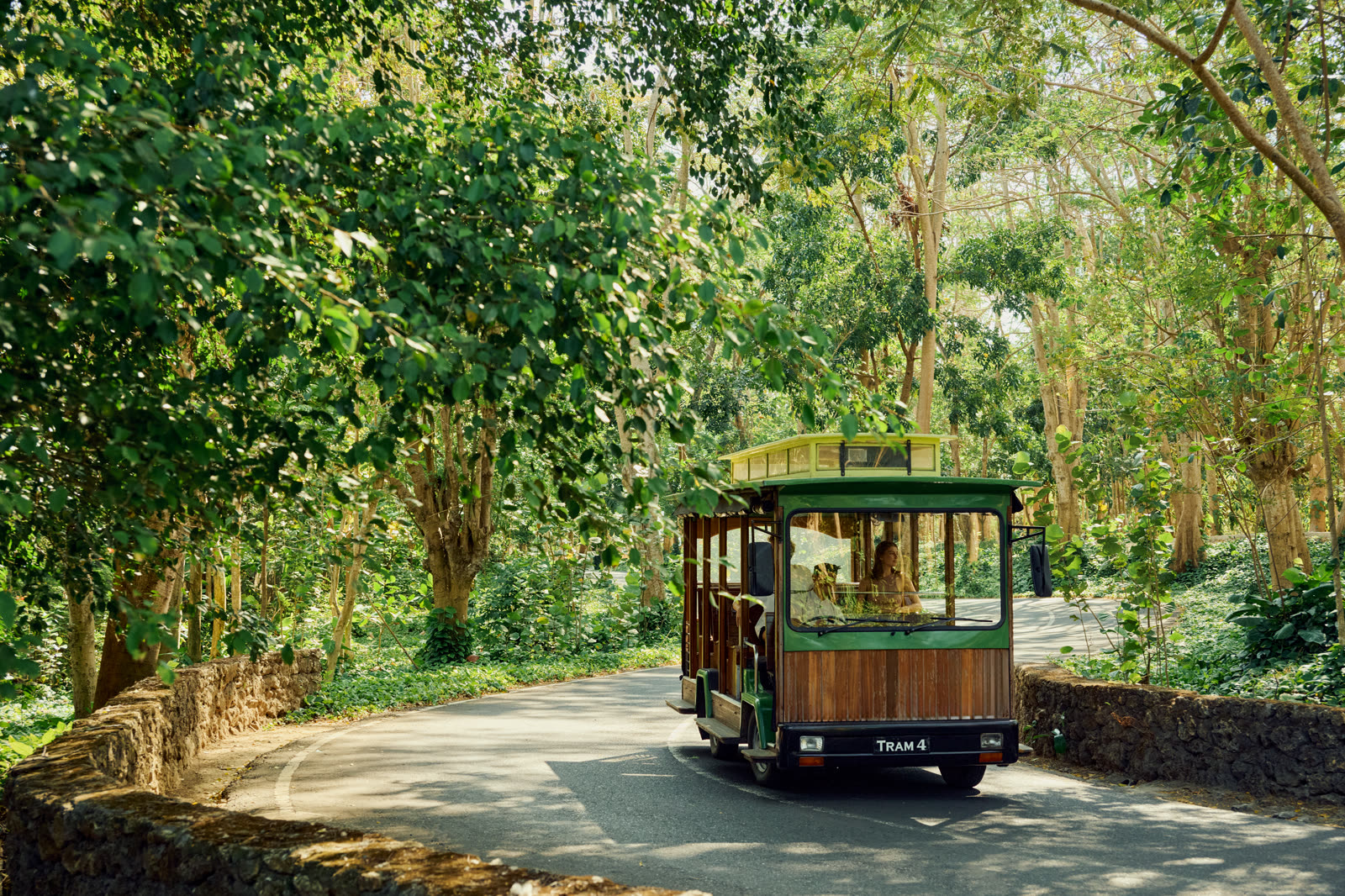 Resort Tram